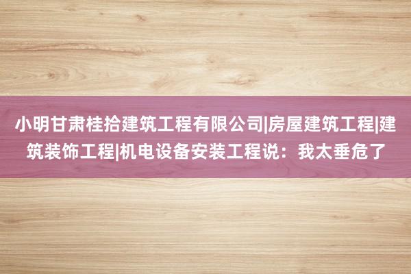 小明甘肃桂拾建筑工程有限公司|房屋建筑工程|建筑装饰工程|机电设备安装工程说：我太垂危了