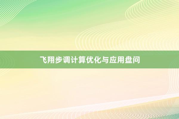 飞翔步调计算优化与应用盘问